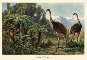 Aves moa a serem caçadas por homens com arcos e flechas.