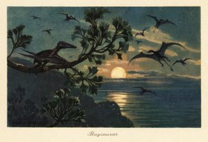 Rhamphorhynchus pterosaurs voando ao luar. de Heinrich Harder