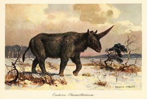 Unicórnio siberiano, Elasmotherium sibiricum, sobre uma planície nevada.