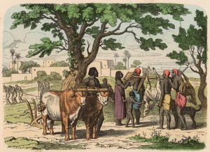 Antigo Egipto: agricultura e caça de Heinrich Leutemann