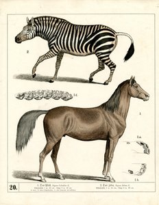  de Heinrich Leutemann