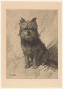 smoushond holandês de Heinrich M. Krabbé