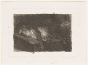 Macaco adormecido e recortado de Heinrich M. Krabbé