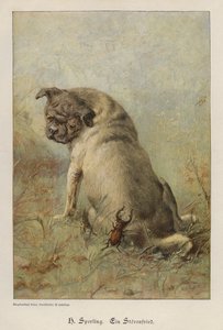 Um causador de problemas (gravação colorida) de Heinrich Sperling