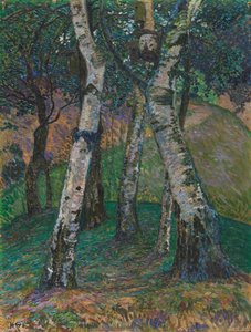 Bétulas no Barkenhoff, 1913.