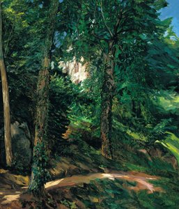 Terrenos do castelo em Lichtenberg em Odenwald, 1900