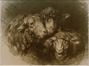 Ovelhas de Heinrich von Zügel