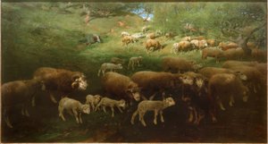 Rebanho de ovelhas com cordeiros