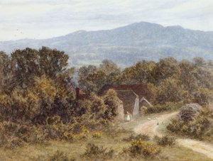 Hindhead de Sandhills, Witley