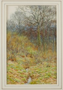 Nossa madeira de prímula, 1913 de Helen Allingham