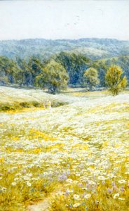 Oxeye Daisies, perto de Westerham, Kent (aguarela sobre papel) de Helen Allingham