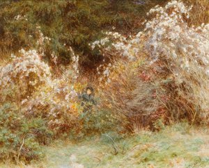 Alegria de viajantes: Um Surrey Hedgerow (wc no papel) de Helen Allingham
