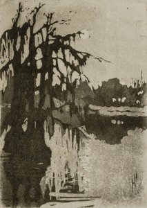 Ciprestes de Helen Hyde
