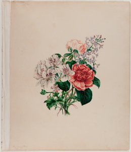 St. Leon Bouquet, c.1842 (aquarela sobre papel) de Helen Lockie and family Jones