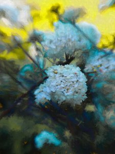 Blooming Maytime, 2019 de Helen White