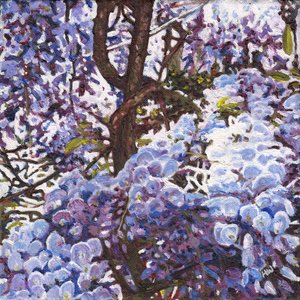 Blue Wisteria, 2012 de Helen White
