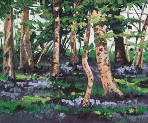 Madeira Bluebell, 2009,