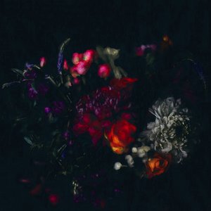 Dark Floral, 2019 de Helen White