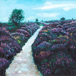 Heathland Heather, 2009 de Helen White