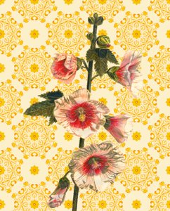 Hollyhocks on Sunshine, 2021 (aquarela) de Helen White