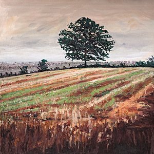 Campo Fim de Tarde, 2009 de Helen White