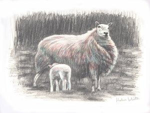Orgulhoso, 2016, (desenho a lápis) de Helen White