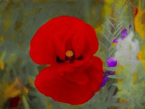 Scarlet, 2019 de Helen White