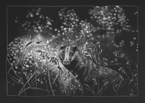 Texugo da Primavera, 2023 de Helen White