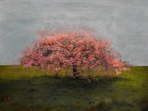 Stand Alone Beauty, 2019 de Helen White