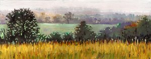 Towards Grazeley, 2012 (óleo sobre tela) de Helen White