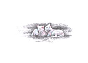 Geminada, 2016, (desenho a lápis) de Helen White