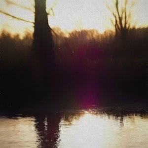 Violet Haze, 2018, de Helen White