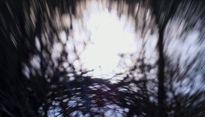 Tapeçaria de água III, 2017, (fotografia manipulada)
