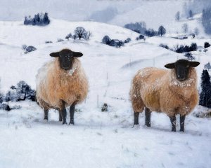 Casacos de inverno, 2019 de Helen White