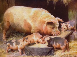 Semeadura e leitões (cor litho) de Helena J. Maguire