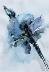  de Helena Ryhle
