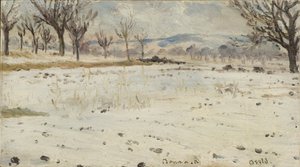 Bona junto ao Reno. Paisagem de inverno de Helmer Osslund