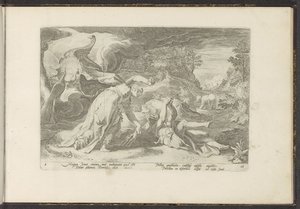Juno transforma Callisto em um urso Metamorfoses de Ovídio (título da série) Recriações de P. Ovidius Naso (título da série) de Hendrick Goltzius (workshop of)