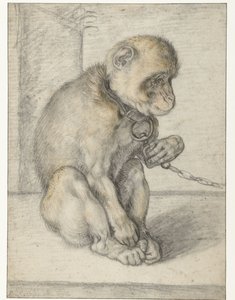 Um macaco sentado numa cadeia
Macaco numa Corrente, sentado de Hendrick Goltzius