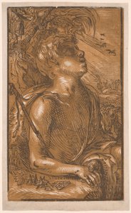 São João Batista de Hendrick Goltzius