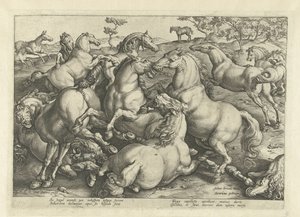 Doze cavalos de luta Raças de Cavalos dos Estábulos Reais de Don Juan da Áustria (título da série) de Hendrick Goltzius