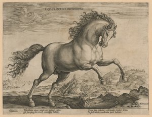 cavalo selvagem Eqvvs liber et incompǒsitvs (título no objeto) Raças de Cavalos dos Estábulos Reais de Don Juan da Áustria (título da série) de Hendrick Goltzius
