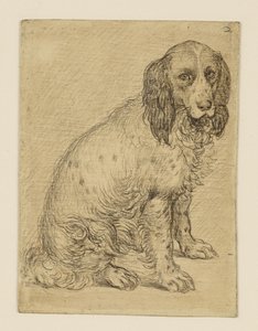  de Hendrick Goltzius