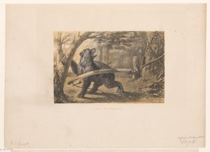 Urso numa armadilha
Um arco de jogo (título sobre o objecto) de Hendrik Adriaan Christiaan Dekker