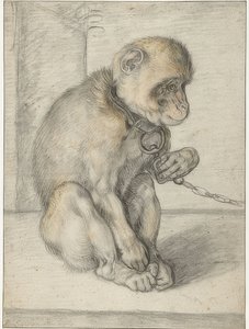 Um macaco sentado em uma corrente. 1592-1602 de Hendrik Goltzius