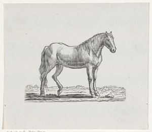 Cavalo de Hendrik Numan