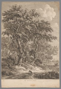 Paisagem em Zuidlaren
Em Zuidlaren (título sobre o objecto)
Nove vistas em Drenthe (título da série)
IX Faces dentro e perto da paisagem de Drenthe (título da série)