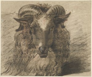 Cabeça de um carneiro de Hendrik Stokvisch