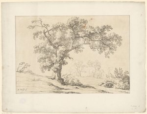 árvore na paisagem Tentamina Lithographica (título da série) Paisagens italianas (título da série)