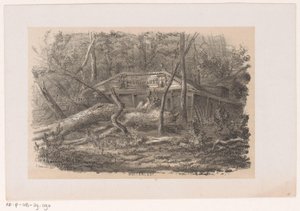 Árvore derrubada em Buitenlust, após a tempestade de 28 de maio de 1860 Buitenlust (título no objeto) Álbum de dez esboços litografados, representando Tooneelen da Destruição, Agitado pela tempestade de 28 de maio de 1860 no 
